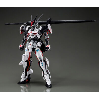 Pb HG 1/144 LOAD ASTRAY Ω